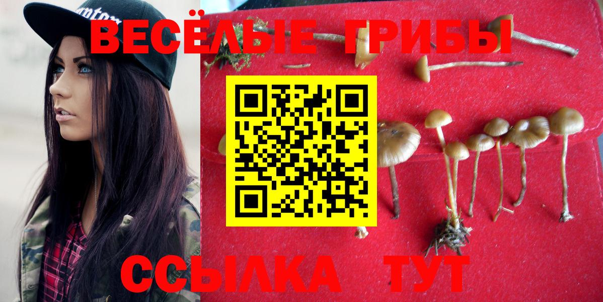 Чебаркуль  Галлюциногенные грибы Psilocybine cubensis  Вход с VPN 